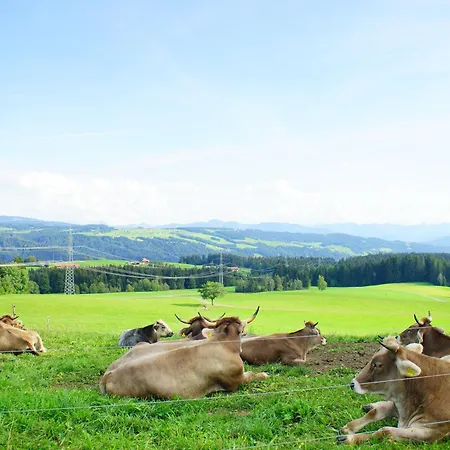 Relax-black Appartement, Allgaeu, Bergblick, Sauna * Scheidegg