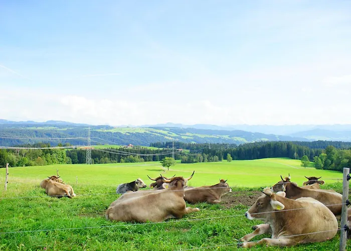 Relax-black Appartement, Allgaeu, Bergblick, Sauna * Scheidegg